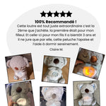 Charger l&#39;image dans la galerie, Peluche Koala Anti-Stress avec Respiration
